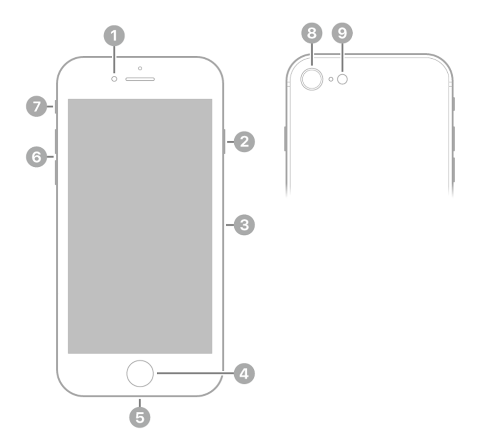 Apple iPhone SE (3rd generation) image 3