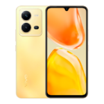 Vivo V25e