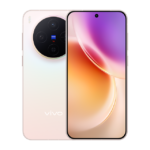 Vivo X300